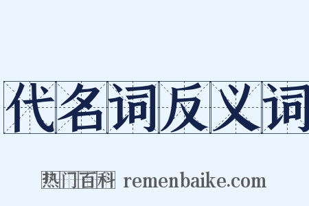 代名词反义词是什么意思的图片